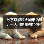 数字赋能超大城市治理：十大创新案例如何打造智慧未来？（图4）
