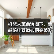 机器人革命浪潮下,情感陪伴赛道如何突破发展瓶颈?(图2) 机器人革命浪潮下,情感陪伴赛道如何突破发展瓶颈?(图2)
