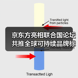 京东方亮相联合国论坛 共推全球可持续品牌标准建设(图4) 京东方亮相联合国论坛 共推全球可持续品牌标准建设(图4)