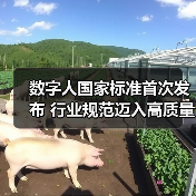 数字人国家标准首次发布 行业规范迈入高质量发展新阶段（图2）