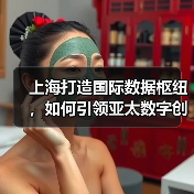 上海打造国际数据枢纽，如何引领亚太数字创新浪潮？