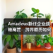 Amadeus新任企业战略高管：跨界履历如何助力行业变革？（图4）