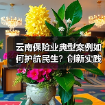 云南保险业典型案例如何护航民生？创新实践彰显服务温度