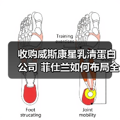 收购威斯康星乳清蛋白公司 菲仕兰如何布局全球蛋白市场