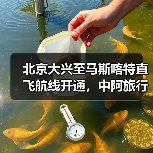 北京大兴至马斯喀特直飞航线开通，中阿旅行更便捷高效
