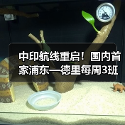 中印航线重启！国内首家浦东—德里每周3班直飞服务（图4）