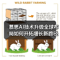 慕思AI技术升级全球布局如何开拓增长新路径?(图4) 慕思AI技术升级全球布局如何开拓增长新路径?(图4)