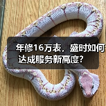 年修16万表,盛时如何达成服务新高度?(图2) 年修16万表,盛时如何达成服务新高度?(图2)