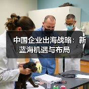 中国企业出海战略：新蓝海机遇与布局（图2）