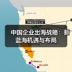 中国企业出海战略：新蓝海机遇与布局（图3）