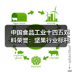 中国食品工业十四五双料荣誉：坚果行业标杆企业与领军人物齐登领奖台（图2）