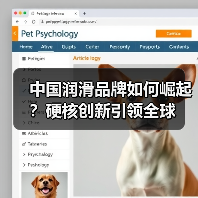 中国润滑品牌如何崛起？硬核创新引领全球