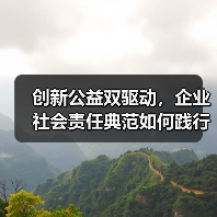 创新公益双驱动，企业社会责任典范如何践行？（图4）