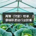 再登《财富》榜单，万豪蝉联酒店行业榜首