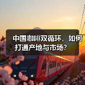 中国咖啡双循环，如何打通产地与市场？（图4）