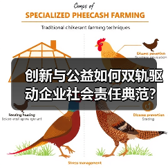创新与公益如何双轨驱动企业社会责任典范？
