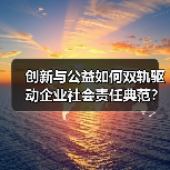 创新与公益如何双轨驱动企业社会责任典范?(图2) 创新与公益如何双轨驱动企业社会责任典范?(图2)
