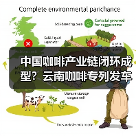 中国咖啡产业链闭环成型？云南咖啡专列发车引领精耕细作时代