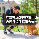 汇泰在线银行存管上线 合规升级保障资金安全