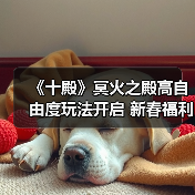 《十殿》冥火之殿高自由度玩法开启 新春福利狂送不停(图4) 《十殿》冥火之殿高自由度玩法开启 新春福利狂送不停(图4)