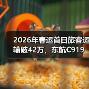 2026年春运首日旅客运输破42万,东航C919航线再升级(图3) 2026年春运首日旅客运输破42万,东航C919航线再升级(图3)