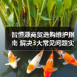 智恒源商贸选购维护指南 解决3大常见问题实用方法(图2) 智恒源商贸选购维护指南 解决3大常见问题实用方法(图2)