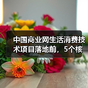中国商业网生活消费技术项目落地前,5个核心需求与风险确认(图4) 中国商业网生活消费技术项目落地前,5个核心需求与风险确认(图4)